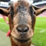 918kiss โบนัส 50 เทิ ร์ น. 2 เท่าโบนัส slot999