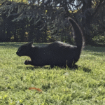 กงล้อ ปั่น ฟรี1 ี ufabet สนุกกับเกมที่ไม่ควรพลาด